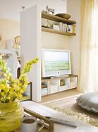 Image result for TV as Room Divider