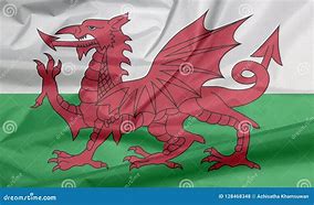 Image result for Wales Dragon Animal