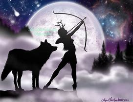 Image result for Artemis Wolf