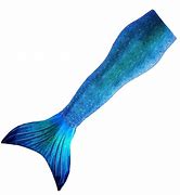 Image result for Mermaid Tail Underwater