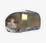 Image result for Cat Burrito Song