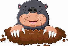 Image result for Mole Clip Art