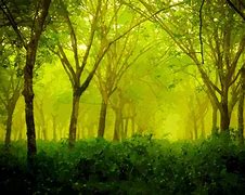 Image result for Forest Painting Wallpaper