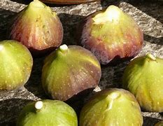 Image result for Sour Figs