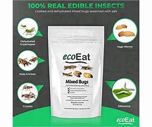 Image result for Edible Bugs Eco