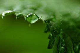 Image result for Best Drip Wallpapers