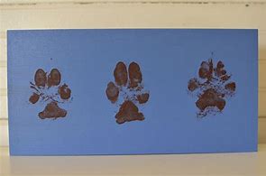 Image result for Making Dog Paw Prints