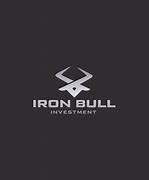 Image result for Logo Ellip Iron Art