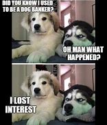 Image result for 175 Bad Jokes