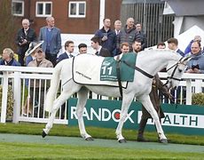 Image result for Ror Horses