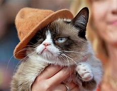 Image result for Grumpy Face