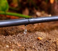 Image result for Large-Scale Drip Irrigation Systems