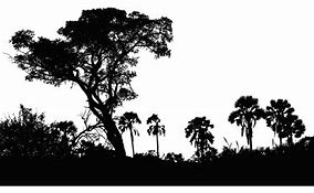 Image result for Silhouette of Nature