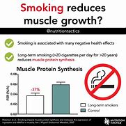 Image result for Muscle Growth Addict