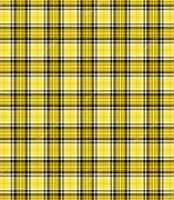 Image result for Yellow Plaid Jacket