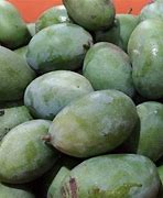 Image result for Mangga Mana Lagi Situbondo