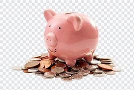 Image result for Piggie Bank Mauve