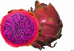 Image result for Buah Naga Merah Anima Si