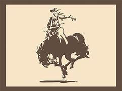 Image result for Rodeo Vector