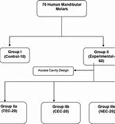 Image result for Distribution Process Flow Chart