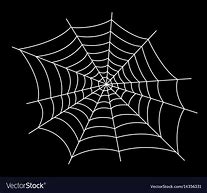 Image result for Spider Web Vector