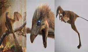 Image result for Bat-Like Dinosaur