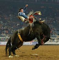 Image result for Real Rodeo Cowboys