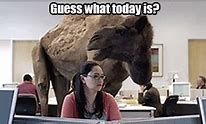 Image result for Happy Hump Day Commercial