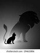 Image result for Cat Lion Reflection