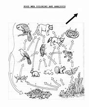 Image result for Food Chain Black and White