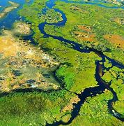 Image result for Okavango Inland Delta