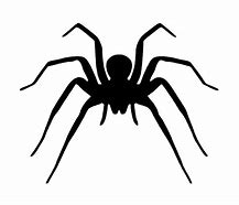 Image result for Spider SVG Free