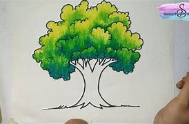 Image result for Best Tree Drawing