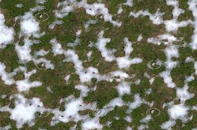 Image result for Snow Texture Seamless Pattern