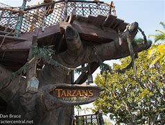 Image result for Disney Tarzan Treehouse