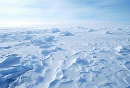 Image result for Ice Age Tundra