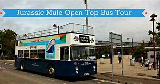 Image result for Open Top Bus Tour Jersey