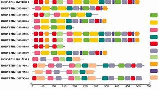 Image result for Protein Motif