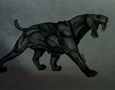 Image result for Sabertooth Reference Drawing