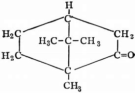 Image result for Camphor Condensed Structural Formula