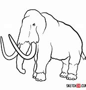 Image result for Extinct Animals Drawing