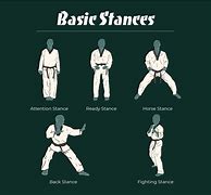 Image result for Taekwondo Basic Stances