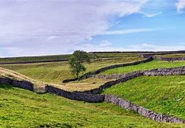 Image result for Yorkshire Dales Stone Walls