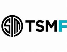 Image result for Logo Sthm