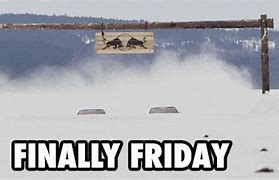 Image result for It Is Finally Friday GIF