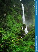 Image result for Cianjur Waterfall Tour