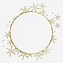 Image result for Golden Circle Ring