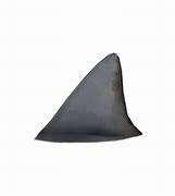 Image result for Shark Fin No Background