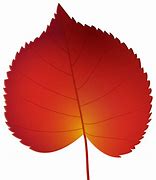 Image result for Red Leaves Clip Art