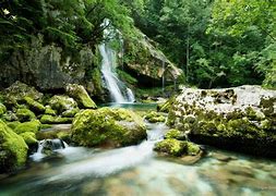 Image result for Slovenia National Park